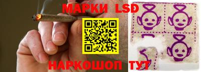 крисы Малоярославец