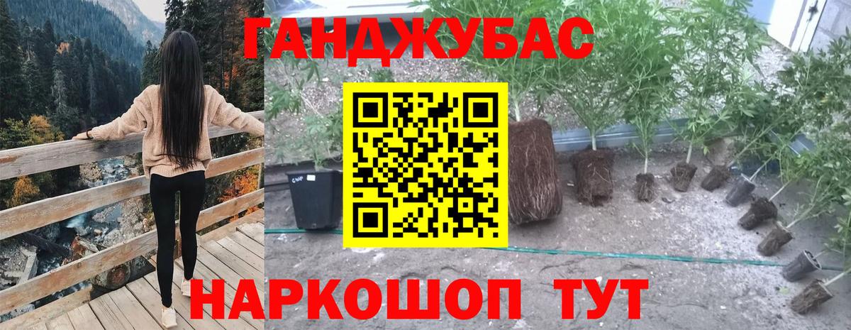 Шишки марихуана конопля Узловая